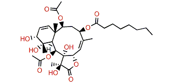 3-Deacetoxyviolide T